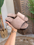 Mules Sahara