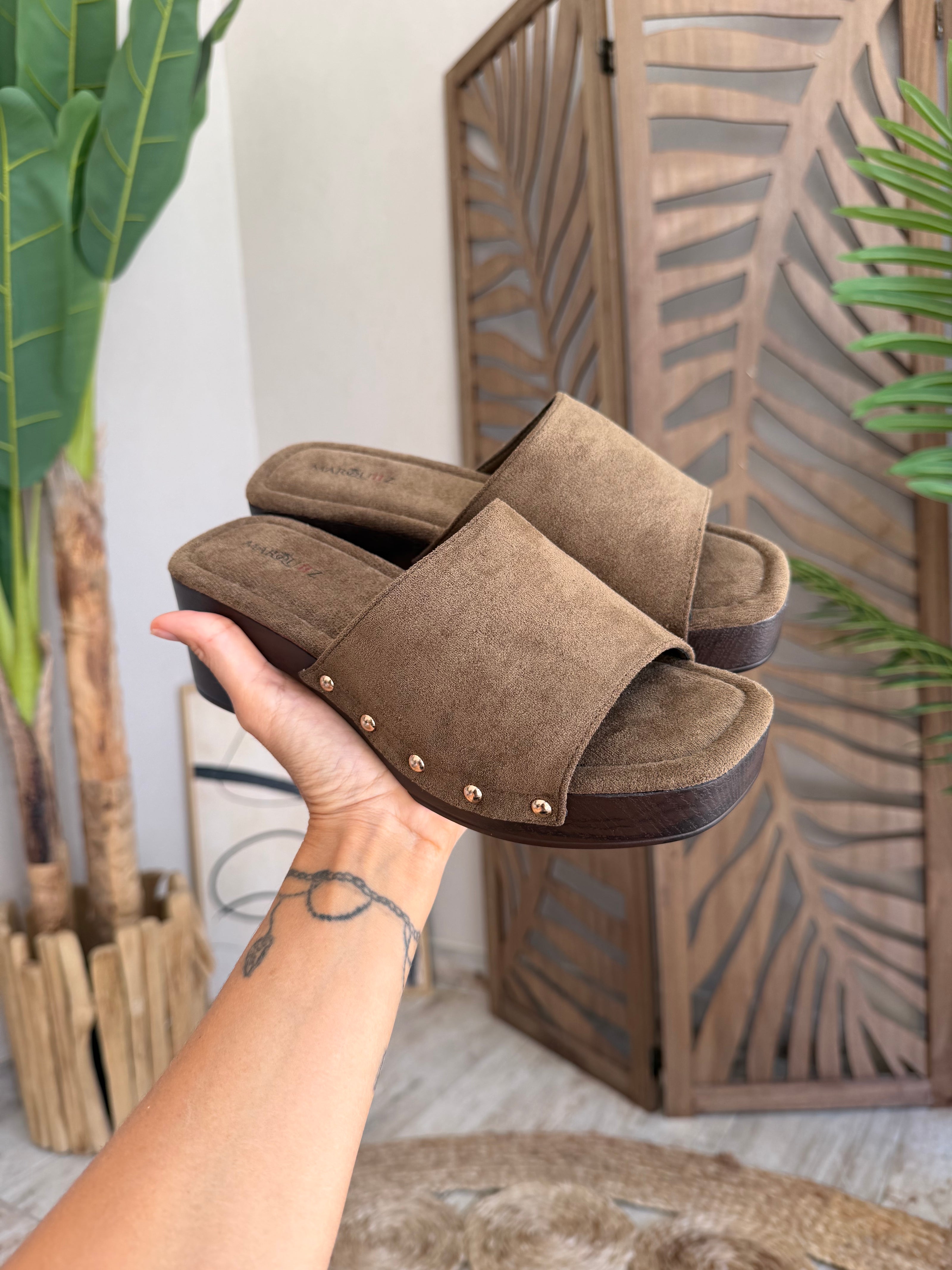 Mules Sahara