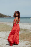 Robe dos nu
