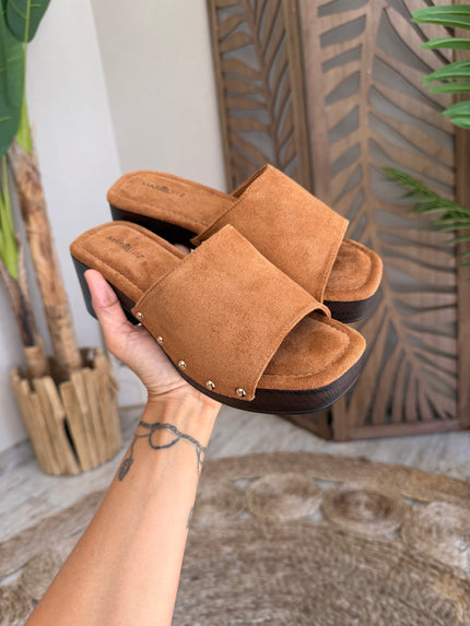 Mules Sahara