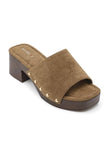 Mules Sahara