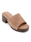 Mules Sahara